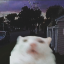 alderelmgrove