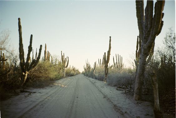 the2bandits:  Somewhere we’d rather be &lt;3 
