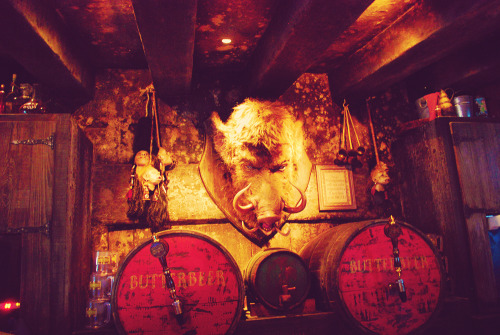 intoasylum:  The Wizarding World of Harry Potter | September 2010 