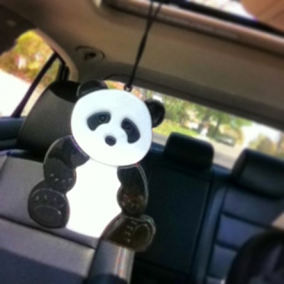 New air freshener 😍😁🐼 thank you @t_willey95 #panda #smellsgood