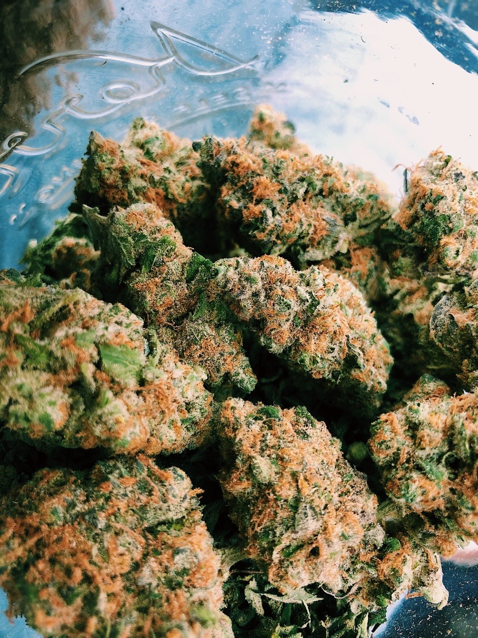 turntstoner:some super lemon skunk my friend brought on our hike yesterday🌞🍋🌀