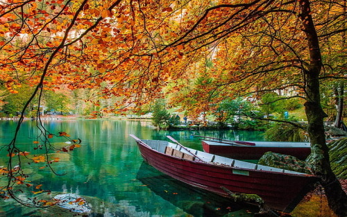 Clear Blue Lake
