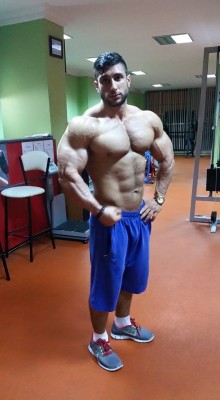 nicemusclemen:Harun Yilmaz