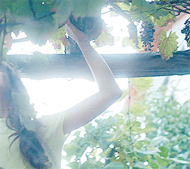 cyberqueer:Mustang (2015) dir. Deniz Gamze Ergüven