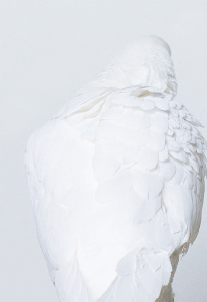 bienenkiste:  Dondup Fall/Winter 2014 photographed by Sean &amp; Seng  .