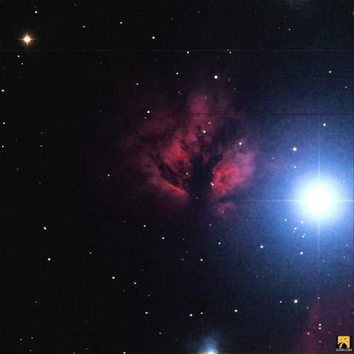 This is the Flame Nebula! The vibrant clumps of gas in this nebula are assumed to be proplyds, which