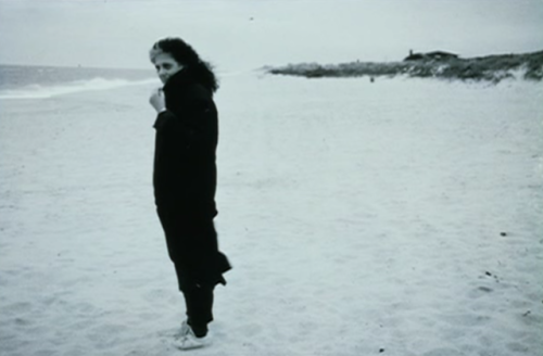 heartshrines:Susan Sontag, photos by Annie Leibovitz