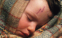 wolfinghard:  harry potter + details 