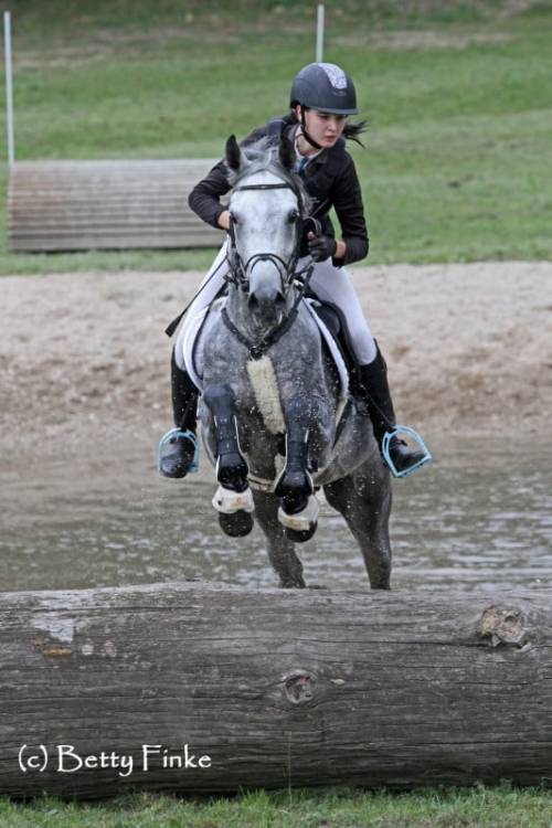 Rubin GW 2015 grey stallion (Smaragd GW x Rachel GW) Pedigree. Betty Finke