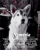alexsexklaus:  thronesgifs challenge: [2] creatures » direwolves↳ These wolves
