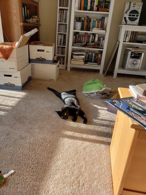 liptonrm: FYI she is dragging herself across the room like that. Because my child is a doofus.