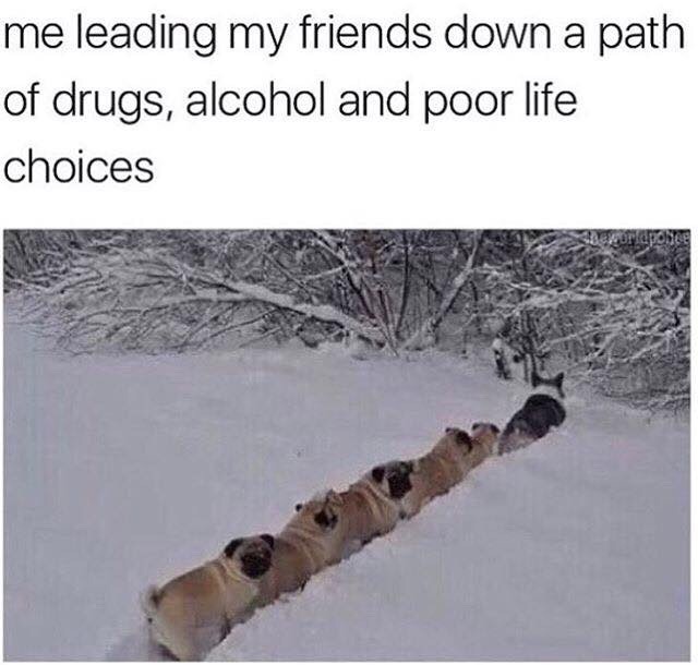 bitchycode:  Me af