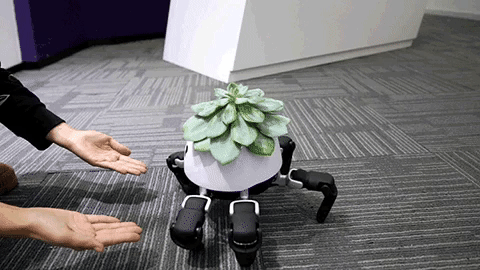 highlandvalley:  https://twitter.com/camparired/status/1019037639582760963/photo/1https://mymodernmet.com/little-robot-smart-planter/https://www.vincross.com/