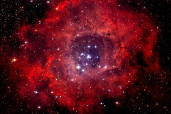 zubat:  The Rosette Nebula is a large, circular H II region located near one end of a giant molecular cloud in the Monoceros region of the Milky Way Galaxy. The open cluster NGC 2244 (pictured above surrounded by the Rosette Nebula) is closely