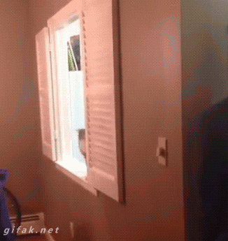 Animated Gifs