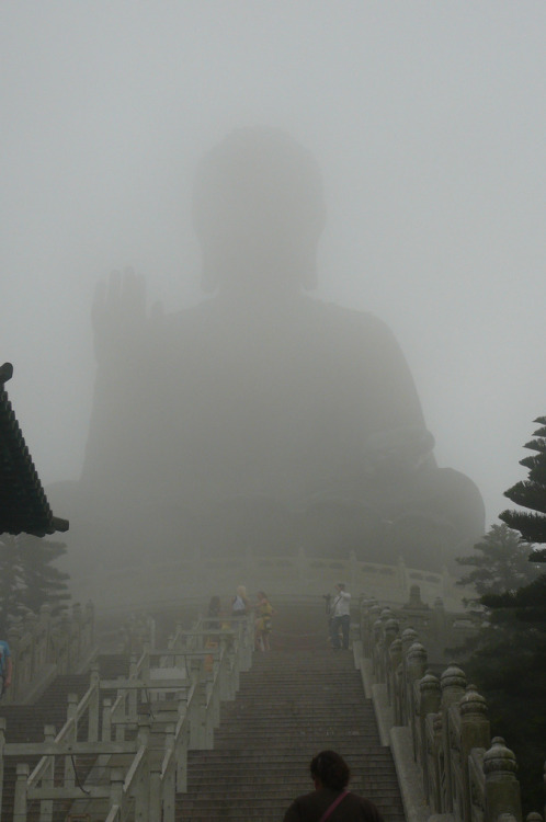 anotic:  Big Buddha in Fog 