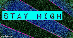 sayhightodrugs:  stay high