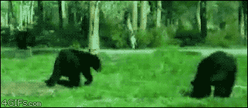 the-nerdy-freak:  bvriwpbviviow come at me bro go home ted ur drunk