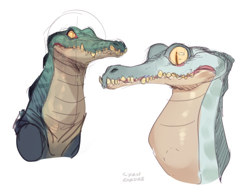 cyancapsule:Here are a buncha crocodiles/gators/gharial sketches I’ve been posting over on my twitter recently! ( Sketches were originally sent to my patrons way way back!) I’ve always thought crocodiles are really cool even if it seems they kinda