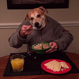 thenatsdorf:  Finley’s morning routine. [video] 