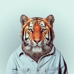 beyondfabric:  Zoo Portraits by Yago Partal