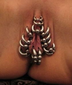 Clithood, outer and inner labia piercings with good sized rings.