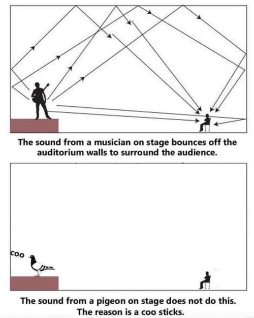 newtonpermetersquare:The behaviour of sound is fascinating