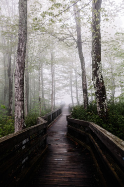 jonahreenders:  munising lookout By: Jonah