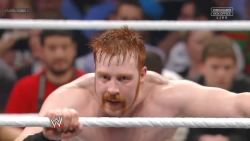 dixiewildflower:  Sheamus’ sex hair from