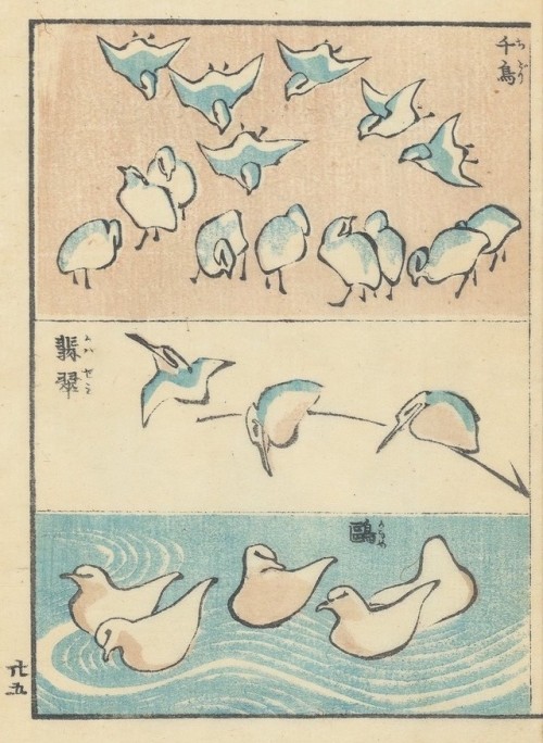 katsushika hokusaiカメ &amp; 鳥類, (turtles &amp; birds)1823