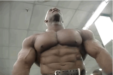 MUSCLE CORPS