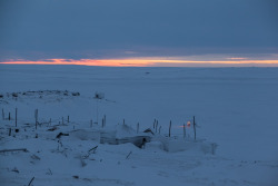 krasna-devica: Dikson, Siberia