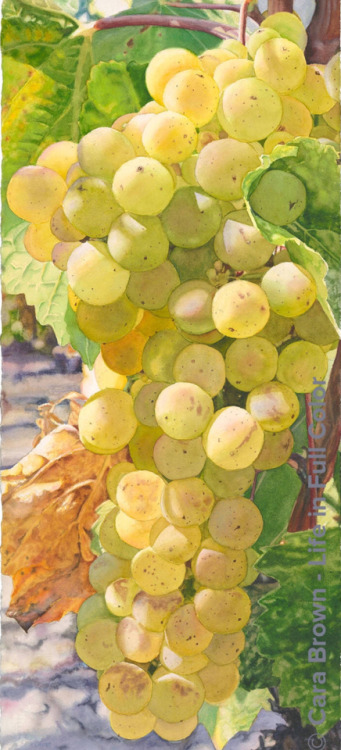 American watercolorist Cara Brown
