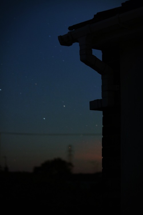 shannenphotographie: Starry Sky.