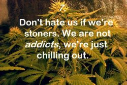 weed-holic:  For more follow weed-holic