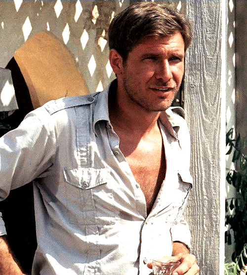 Harrison Ford as Indiana Jones
RAIDERS OF THE LOST ARK (1981)
- dir. Steven Spielberg #harrison ford#*#by shay#filmedit#moviegifs#filmgifs#usersavana#userpavlova#duchessofhastings#userjack#userlindir#tusertyler#userrobin#userannalise