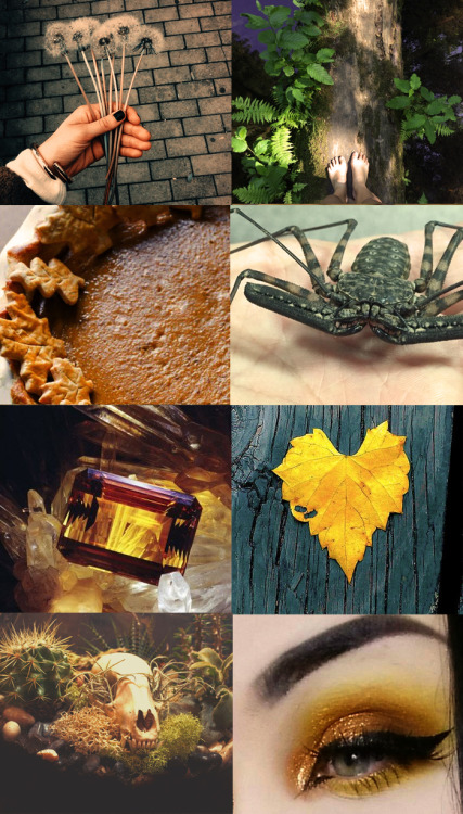 xtoxictears: HufflepuffAll ten of my first sets~