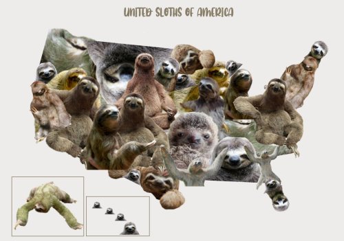 mapsontheweb:  United Sloths of Americaby @aliciaoberhol
