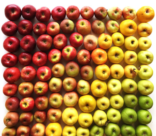 itscolossal:  Photographer Brittany Wright Captures Foods in Colorful Gradients