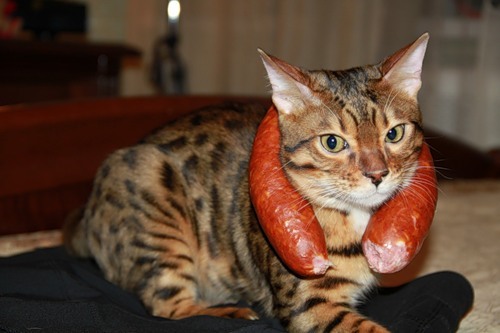 (via aleshikfeld)