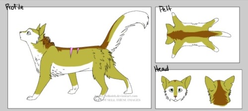 My Ocs