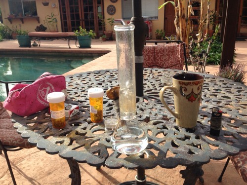 aciid-frogs:  Good morning from California 