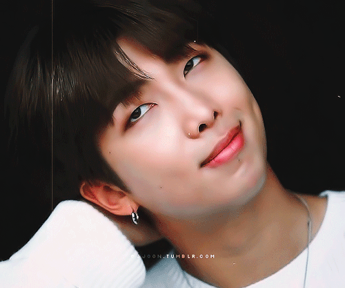 Namjoon X Dicon