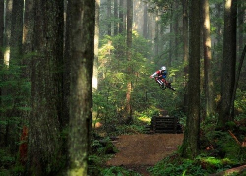 live life downhill