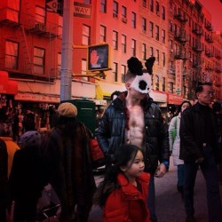 Mott Street - Chinatown/NYC 2013 #pandarabbit #panda #rabbit #rabbitmask #masked #alexanderguerra #chinatown #mottstreet #nyc #selfie #selfportrait #instamuscle #instaart #instagay #body #fitness #fit #abs #urbanart #newyork (at Crunch Fitness - Alton