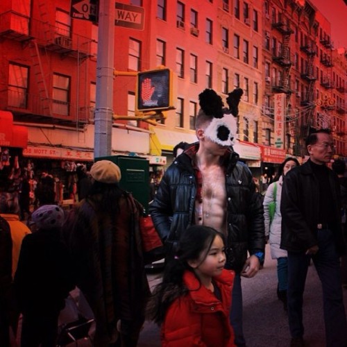 Porn photo Mott Street - Chinatown/NYC 2013 #pandarabbit