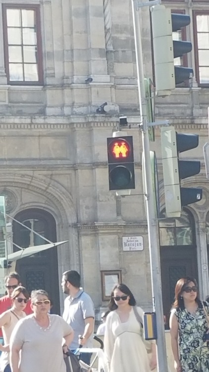 Street crossing lights in Vienna are adorable!