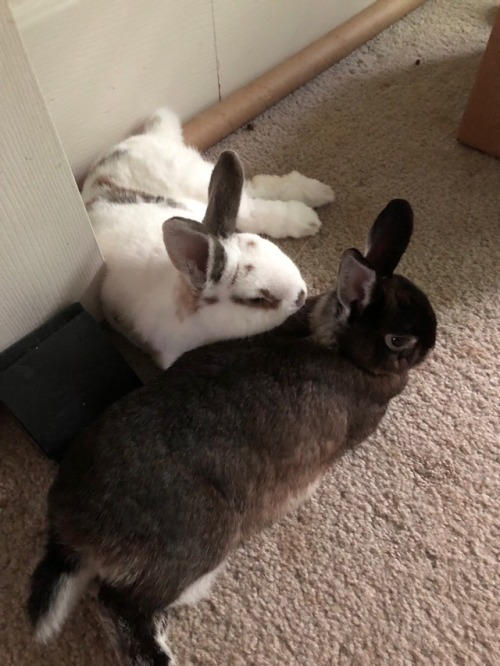 These two girls have had a rough start to their summer, but now they’re finally able to enjoy their 