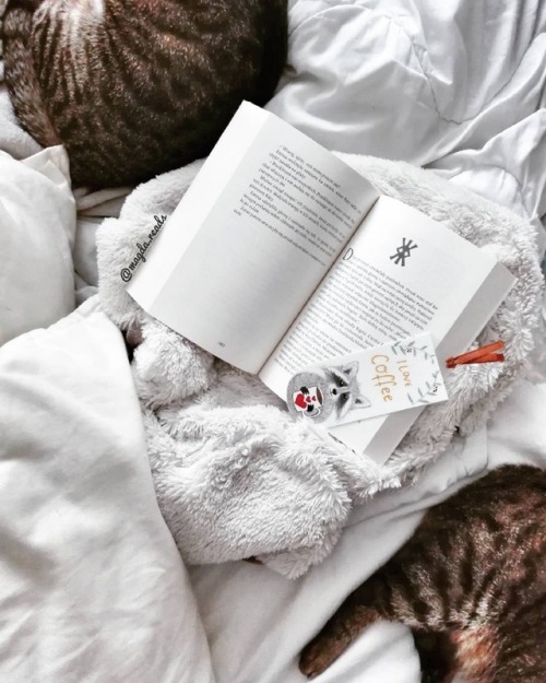 like-fairy-tales:By: http://instagram.com/magda.reads