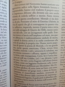 bestiario:  pensiamo al mito di Esterina  (Il caffè illustrato, il pantheon di Pavese, lo scrittore e la dea bianca, R. Gigliucci) 